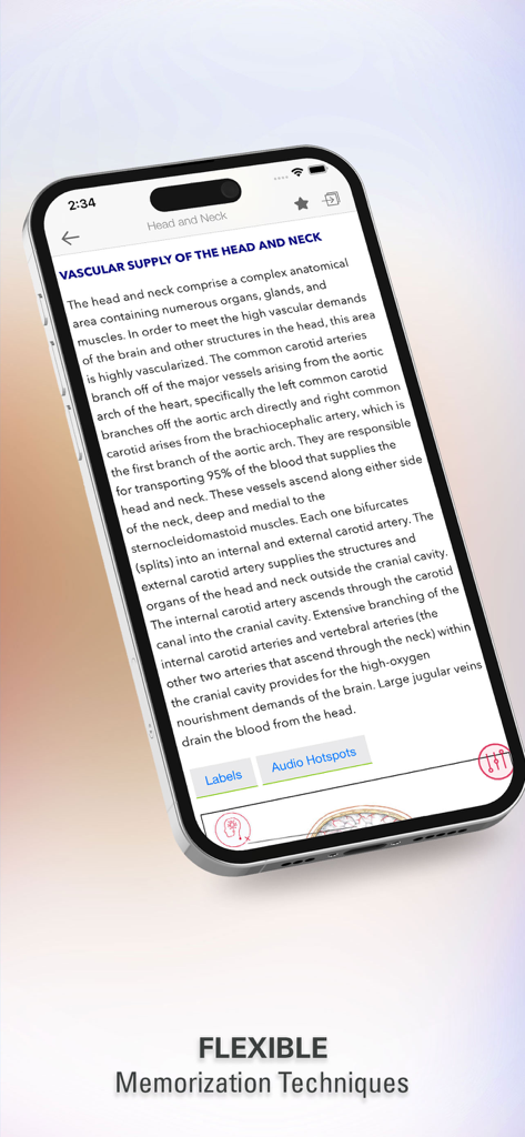 Rapid Review Anatomy Guide - Rapid Review Anatomy Guide mobile app showing anatomical information for the vascular supply of the head and neck