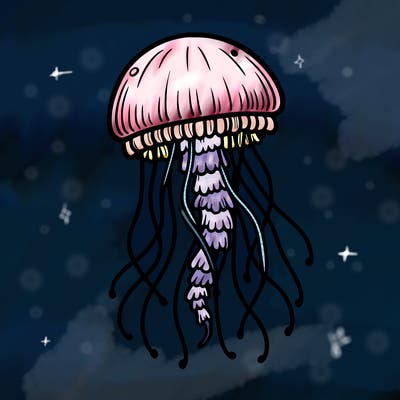 jellyfish