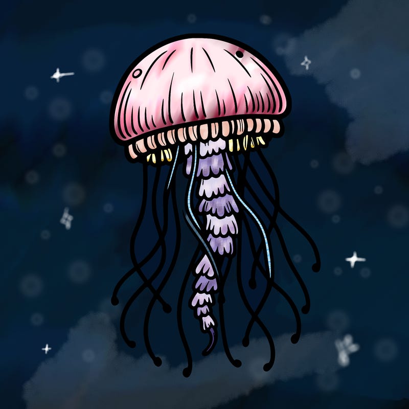 jellyfish