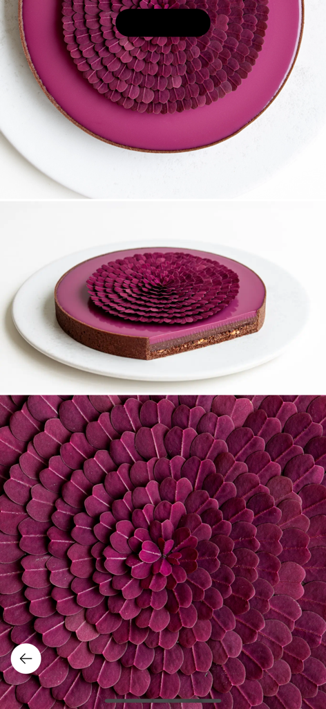 Artistic chocolate tart with a layered filling and intricate purple petal flower decoration