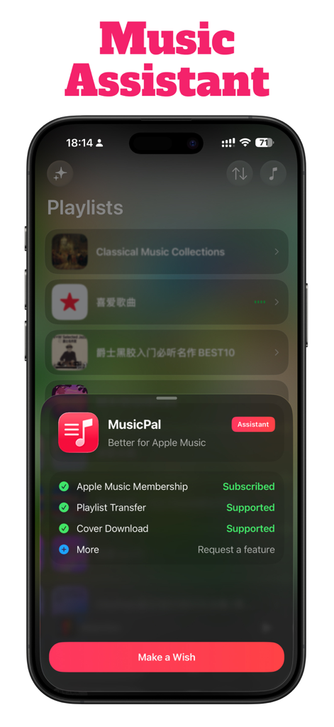 MusicPal: Your Music Assistant - A mobile interface of the MusicPal app showing playlist transfer and cover download features for Apple Music