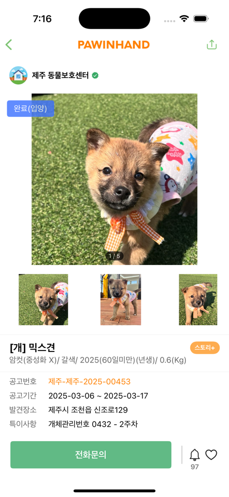 Paw In Hand Mobile App-Bildschirm, der das Profil eines braunen Welpen aus einem Tierheim mit der Kennzeichnung "Adoptiert" zeigt.