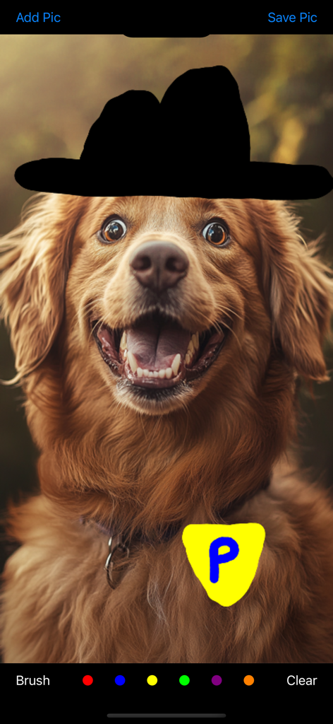 Draw On My Pics - Una foto de un perro con un sombrero negro dibujado a mano y una insignia amarilla usando la aplicación Draw On My Pics.