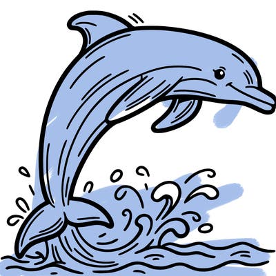 dolphin