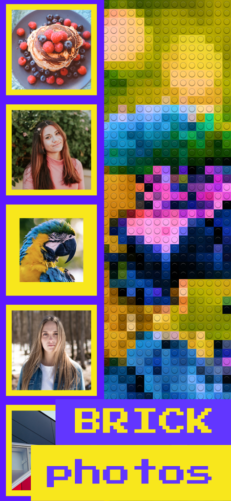 A display showing original photos of food and portraits next to a large brick-filtered version of a parrot