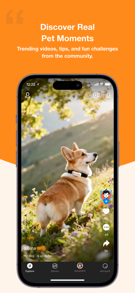 DBDD: Pet Tracker & Assistant - Interface of the DBDD Pet Tracker app showing a community feed with a video of a Corgi dog