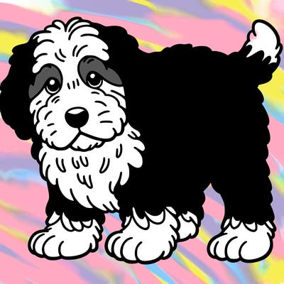 my old puppy bernedoodle is brown and white