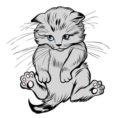animals_20