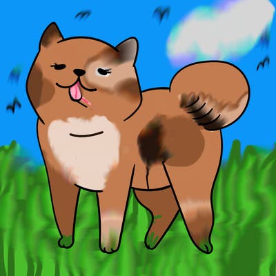 animals_29