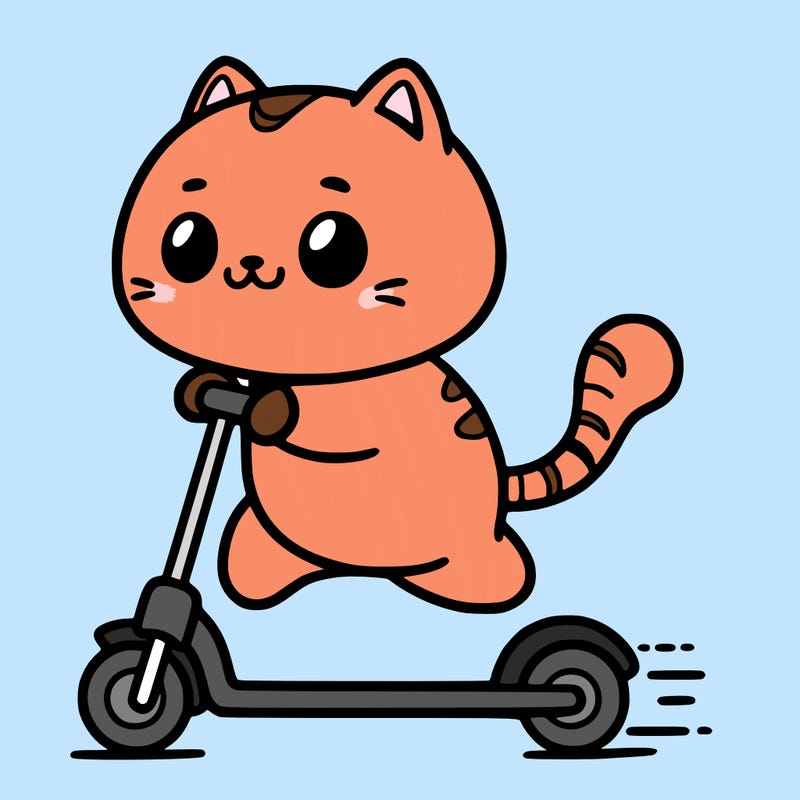 a cat scootering