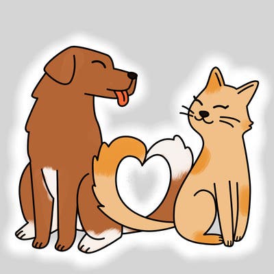animals_22