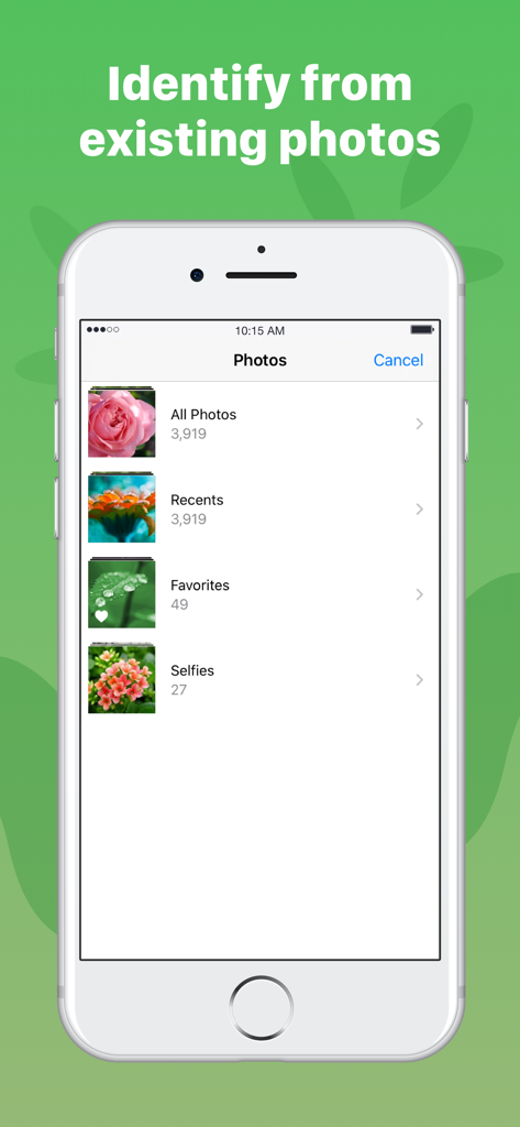 識別用の植物写真アルバムを表示するモバイルインターフェース。