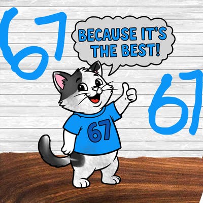 my cat says 67 because it’s the best
