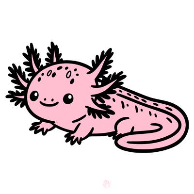 axolotls