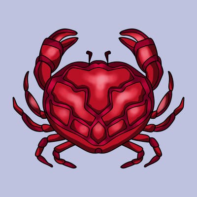 animals_16