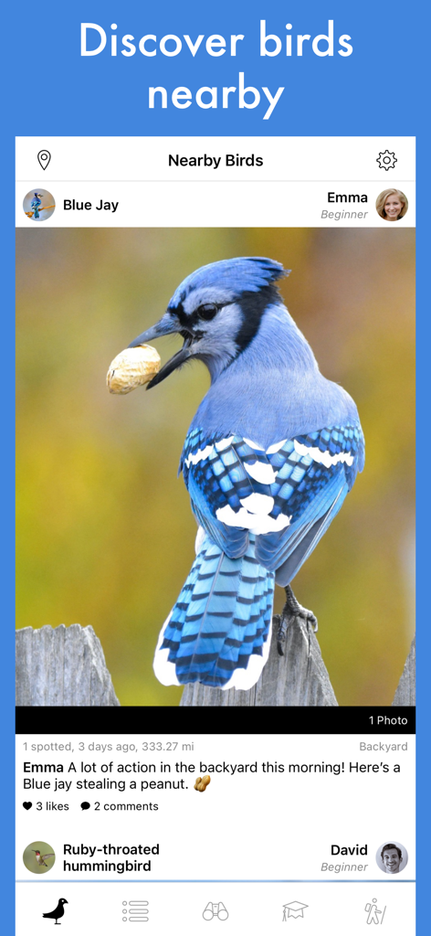 Smart Bird ID: Bird Identifier - Smart Bird ID app community feed showing a shared Blue Jay sighting