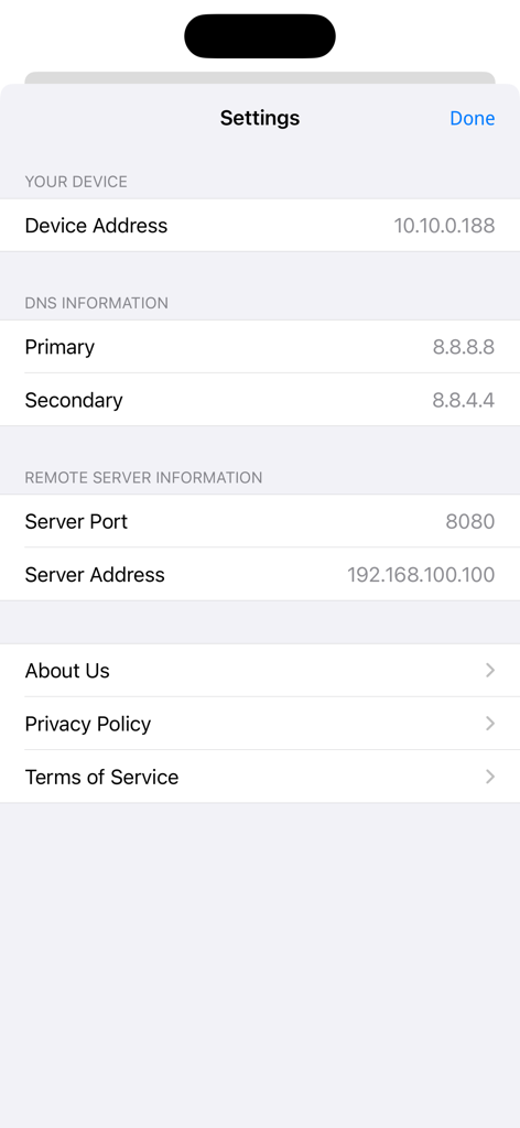 Schermata delle impostazioni Bee VPN che mostra l'indirizzo IP del dispositivo, i dettagli DNS e le informazioni sul server.