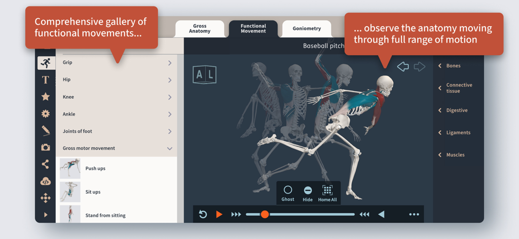 Primal's 3D Functional Anatomy - 3D anatomical model showing a baseball pitch sequence in the Primal 3D Functional Anatomy app.