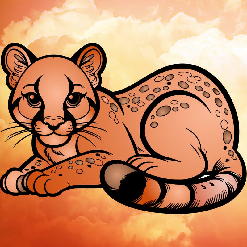 cougar