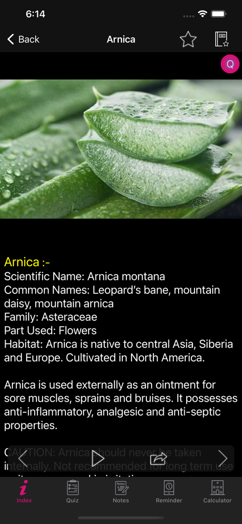 Natural Remedies Herbal - Captura de pantalla de la aplicación Remedios Naturales Herbales mostrando información sobre los usos medicinales y propiedades de la Árnica.