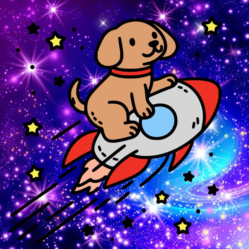 thin and crisp lines dog riding a comet through space for coloring book