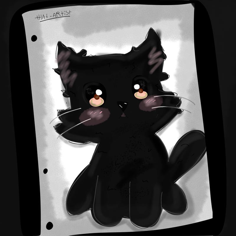 blank white page with nothing drawn on it