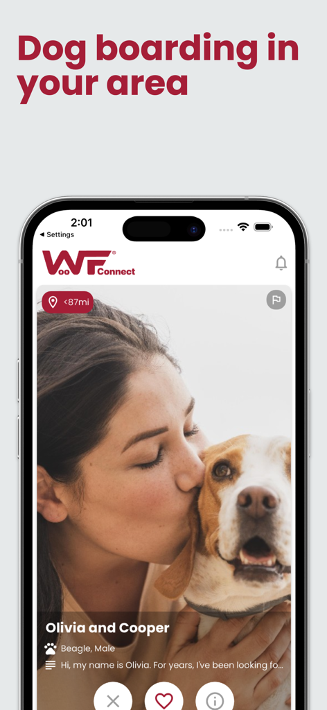 Interface de l'application WoofConnect montrant un profil de garde de chien local pour un Beagle nommé Cooper