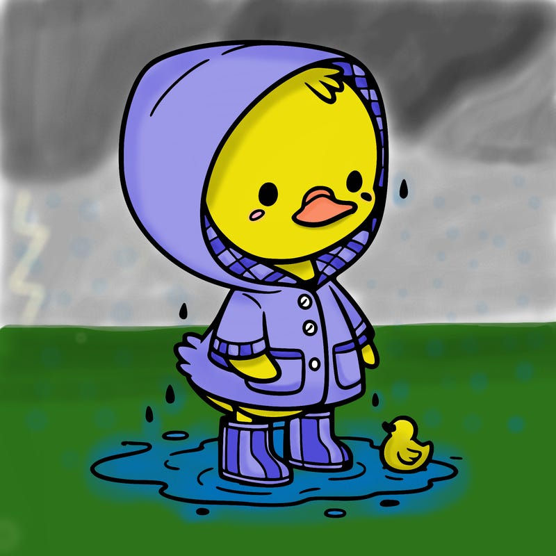 baby duck in a rain coat and boots, in a puddle while it’s raining