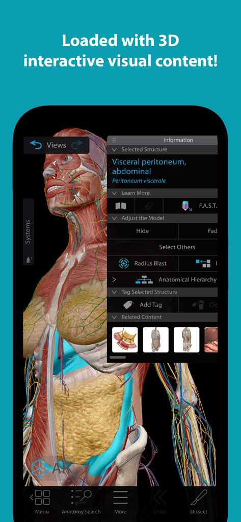 Visible Body Suite - Ein interaktives 3D-Anatomiemodell eines menschlichen Torsos und Nervensystems innerhalb der Visible Body Suite App