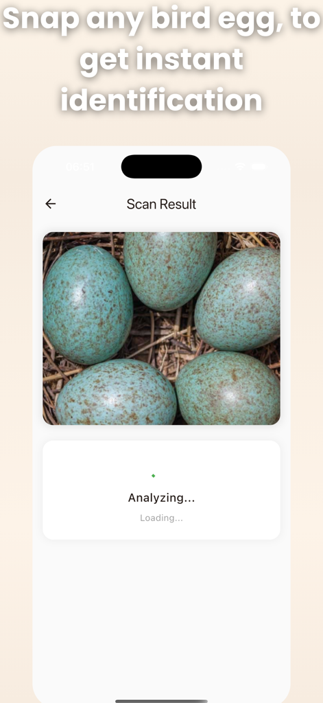 Bird Egg Identifier: AI Scan - AI-powered bird egg identification app scanning a clutch of blue speckled eggs in a nest