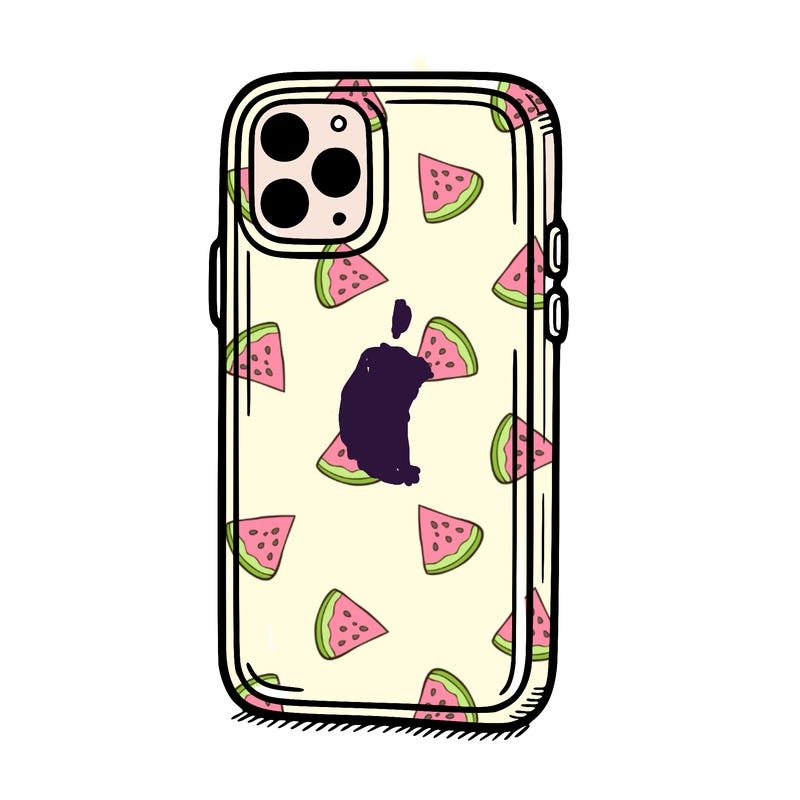 phone case