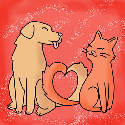 animals_22