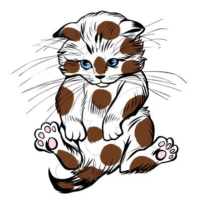 animals_20