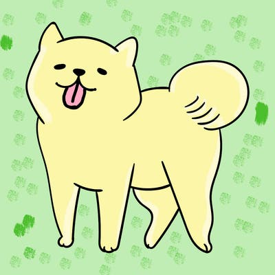 animals_29