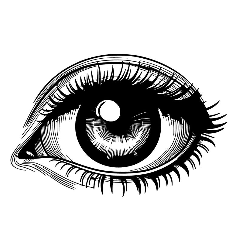 realistic eye