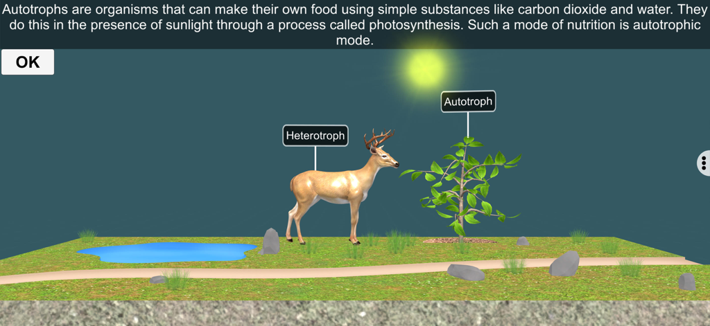Gráfico educacional 3D comparando um veado como heterótrofo e uma planta como autotrófica.