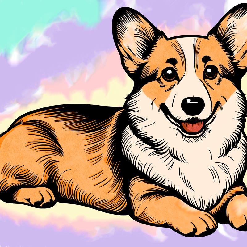 a realistic corgi