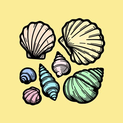 shells