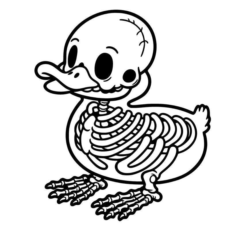 skeleton duck
