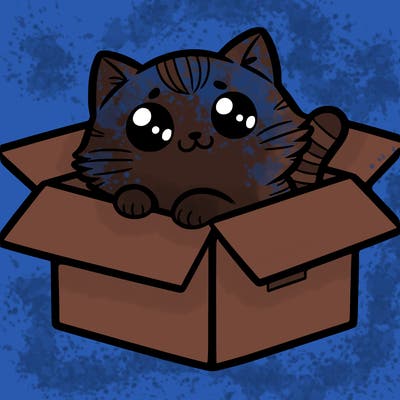 cat in a box