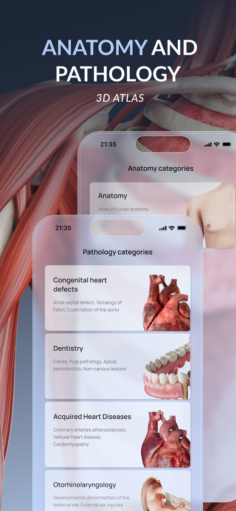 VOKA 3D Anatomy & Pathology - VOKA 3D Anatomy and Pathology app interface showing a menu with categories like heart defects and dentistry.