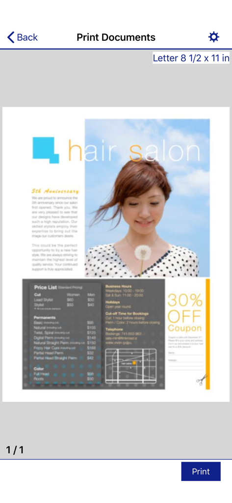 Epson iPrint app showing a document preview of a hair salon flyer ready for printing