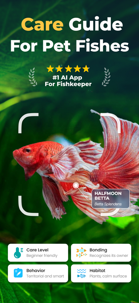 OkayFish - Pet Fish Care Guide - OkayFish app interface identifying a Halfmoon Betta fish with AI and showing care guide details.