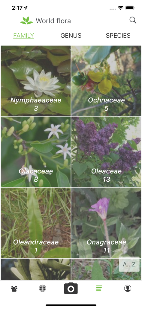 Interface de l'application PlantNet montrant une grille de familles de plantes avec des photos et le nombre d'espèces sous la section Flore mondiale