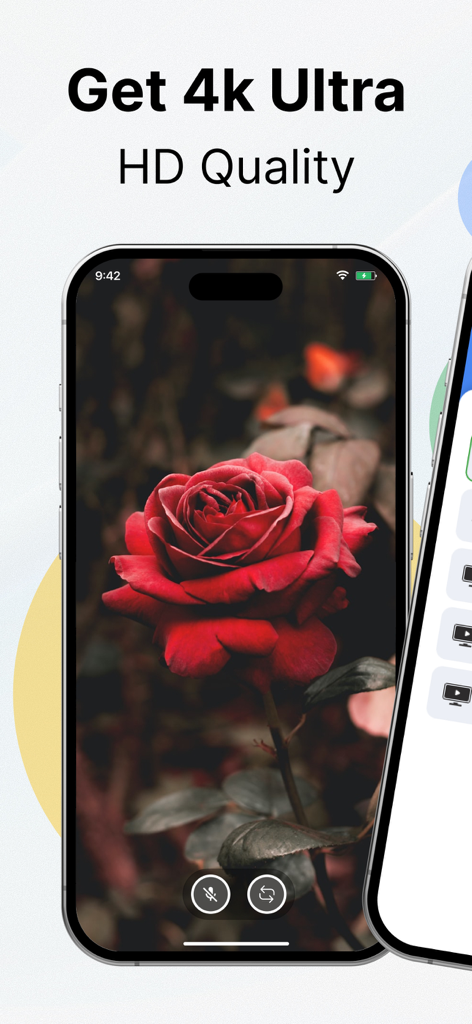 Castify : Screen Mirroring App - Smartphone exibindo uma imagem de alta definição 4K de uma rosa vermelha para espelhamento de tela