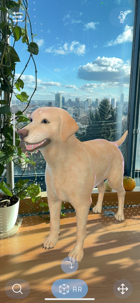 Animal Anatomy AR - Un modelo de perro en realidad aumentada 3D mostrado sobre un escritorio usando la aplicación Animal Anatomy AR