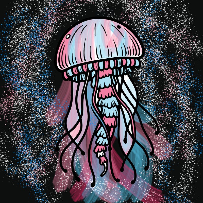 jellyfish