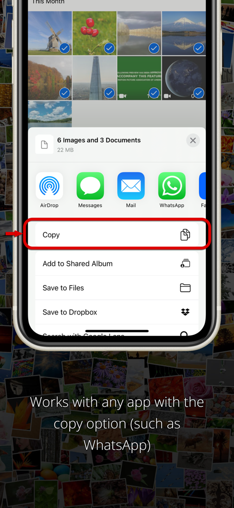 An iPhone screen showing the copy command in the share menu to transfer media to the cloud.