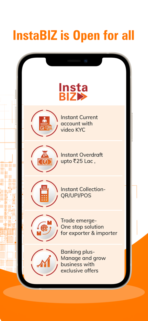InstaBIZ mobile app displaying business banking features like instant accounts overdrafts and export import solutions