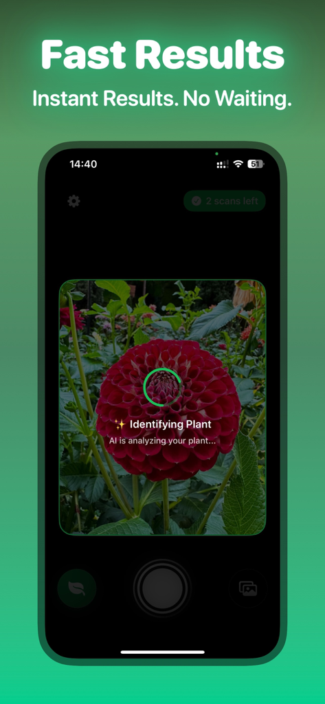 Leafify: Plant Identifier - A smartphone screen showing the Leafify app identifying a red flower with AI technology for fast results
